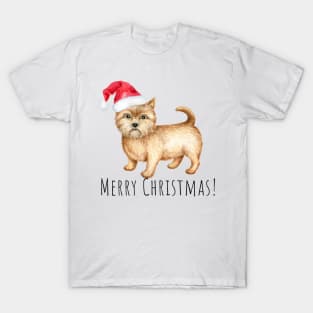 Cute Norwich terrier , Christmas dog T-Shirt